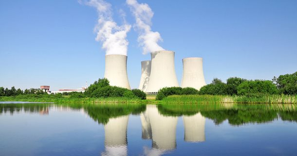 Avatar1770192798106 17701927985521173844387 0 0 320 611 Crop 17701928428371186401517