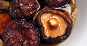 Avatar1770195836256 17701958365801311367709