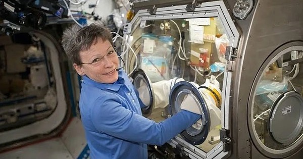 Avatar1770209512148 1770209512463560776755