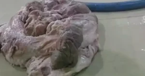 Avatar1770248129261 17702481298941548188253.Webp