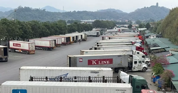 Avatar1770267027899 17702670282601208056854.Webp