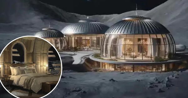 Avatar1770283217314 17702832177491817670705 172 0 800 1200 Crop 1770283243641321104438