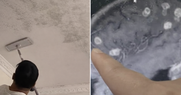 Avatar1770332593479 1770332593887576843864