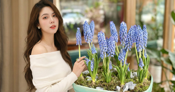 Avatar1770349265397 1770349265951569833725