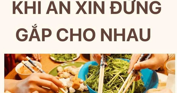 Avatar1770368268239 17703682685651178995137