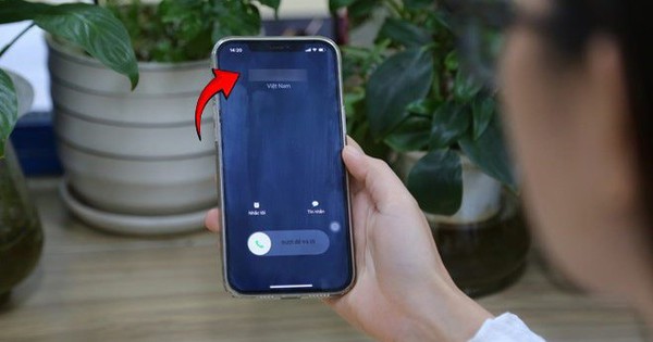 Avatar1770384784486 1770384784923293303624 68 0 414 660 Crop 17703848063961256399952