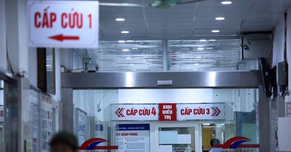 Avatar1770387175819 1770387176548962494666 0 0 471 900 Crop 17703872879781926127974