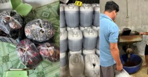 Avatar1770422754654 17704227551691316607174