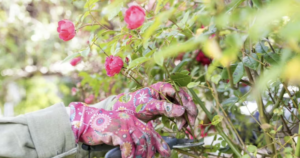 Avatar1770422855906 17704228564721814074094