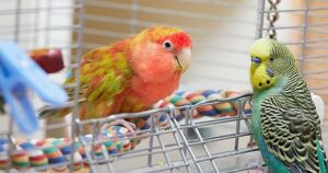 Avatar1770468350932 17704683522341891588677