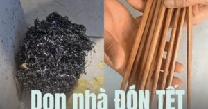 Avatar1770545130526 17705451308981188664111