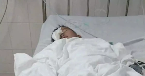 Avatar1770558355028 1770558355660269262150.Webp