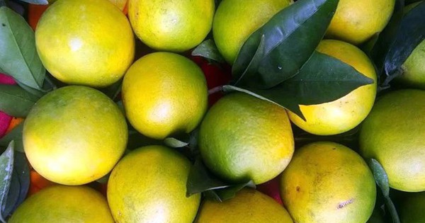 Avatar1770609320942 17706093212761558846483