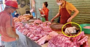 Avatar1770609407919 1770609408874937385244