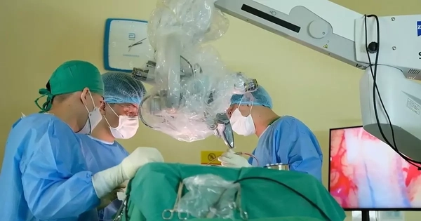 Avatar1770635032571 17706350336311770281569.Webp