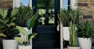 Avatar1770697201893 1770697202402847777404 1 0 315 600 Crop 17706972730251109829311