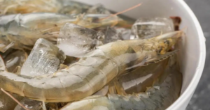 Avatar1770707208510 1770707208984465593108