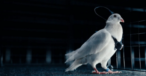 Avatar1770733566640 17707335669511017840198