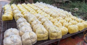 Avatar1770825479408 17708254800491467833478