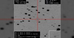 Avatar1770870129347 17708701300442073852149 0 0 314 600 Crop 177087017352985816005