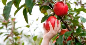 Avatar1770944484026 1770944484438749269256