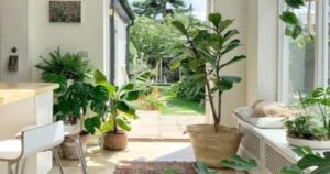 Avatar1770976871069 17709768714751896838782