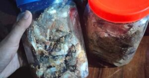 Avatar1771124982595 1771124983189447109204