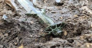 Avatar1771211671894 17712116724071643295425