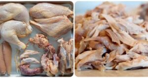 Avatar1771212263655 17712122717851788866608