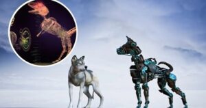 Avatar1771302755842 17713027564491078480734