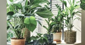 avatar1771309050605 17713090509691108070267