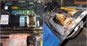 avatar1771317261017 1771317261360737765907 48 0 1173 1800 crop 17713173198951290864807