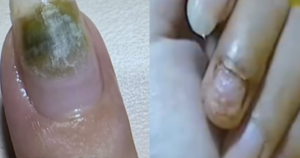 avatar1771397147570 17713971478981452048609