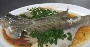 avatar1771439879634 17714398801651074908659