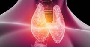 avatar1771471867895 1771471868708941791384