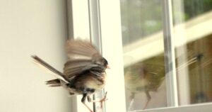 avatar1771487980246 17714879808791284763444