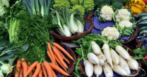 avatar1771577257415 17715772578001446190915