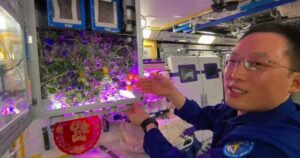 avatar1771640229125 17716402308681674011886