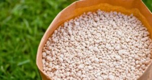 avatar1771645994086 17716459952381036303042 0 0 492 940 crop 17716460680151560179070