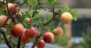 avatar1771655053480 1771655053853534150559 0 0 314 600 crop 177165513660085868577