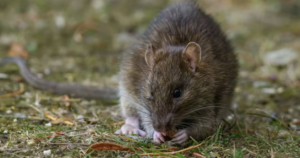 avatar1771666144617 17716661450531580295758