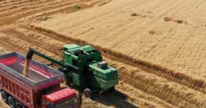 avatar1771675250163 1771675250507600213176