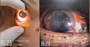 avatar1771681051285 177168105186051491374