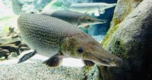 avatar1771731160934 17717311612741115226903