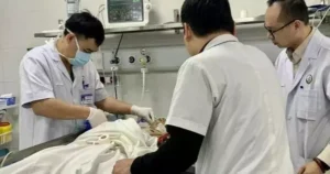 avatar1771817574072 17718175746371334526164.webp