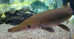 avatar1771826618032 1771826618306773649000