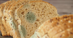 avatar1771845203790 17718452046651187395112