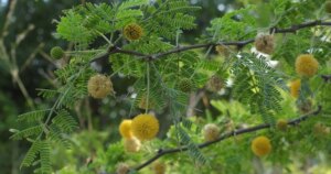 avatar1771857185781 17718571862262101580834 0 0 314 600 crop 1771857259783727895724