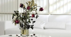 avatar1771891227562 1771891227883719943052