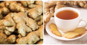 avatar1771896922995 17718969246431838069854